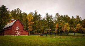 a quiet and peaceful farm with a red barn located next to the canadian woods