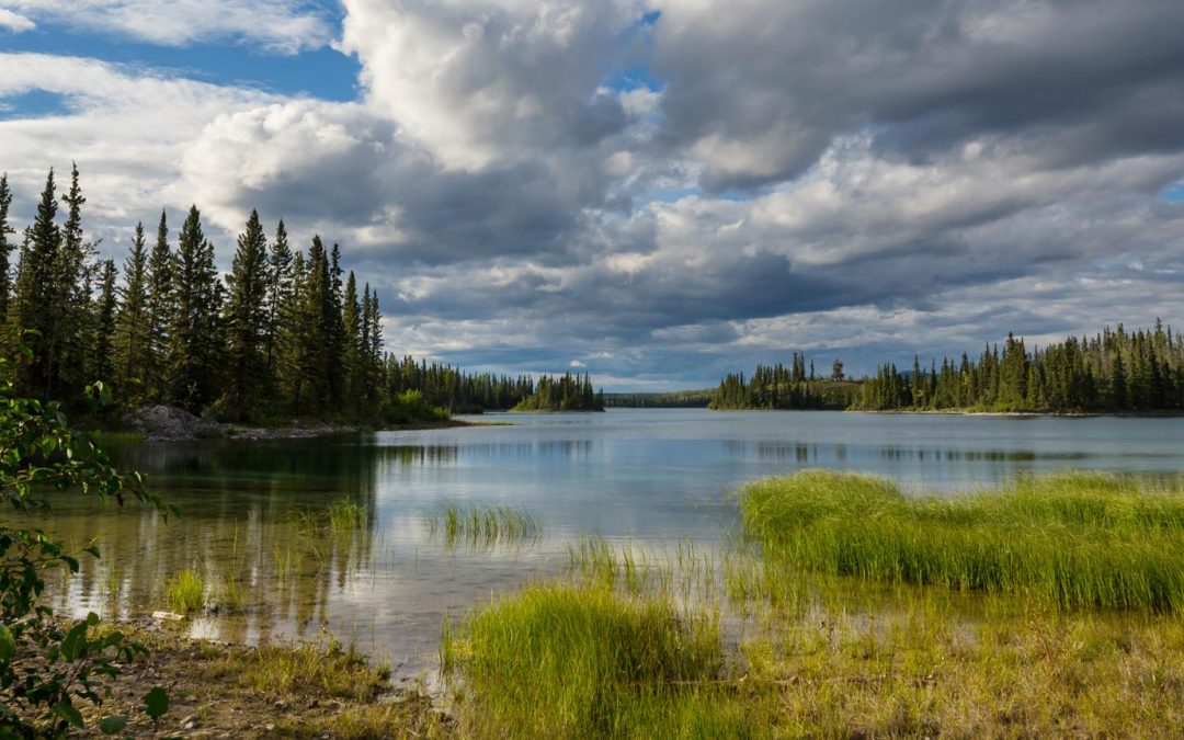 Stringam Law Expands into Bonnyville with Kress Law Merger